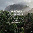 Tanzania Ngorongoro | Zielona Kawa