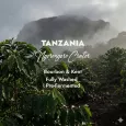 Tanzania Ngorongoro | Zielona Kawa