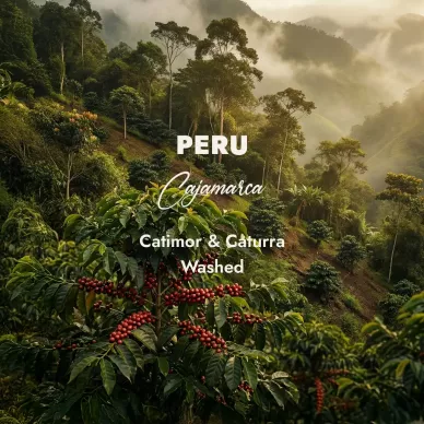Peru Cajamarca | Zielona Kawa