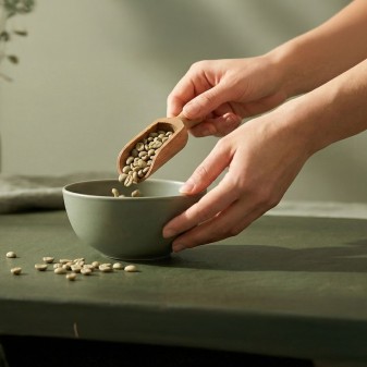 Zielona kawa dla początkujących