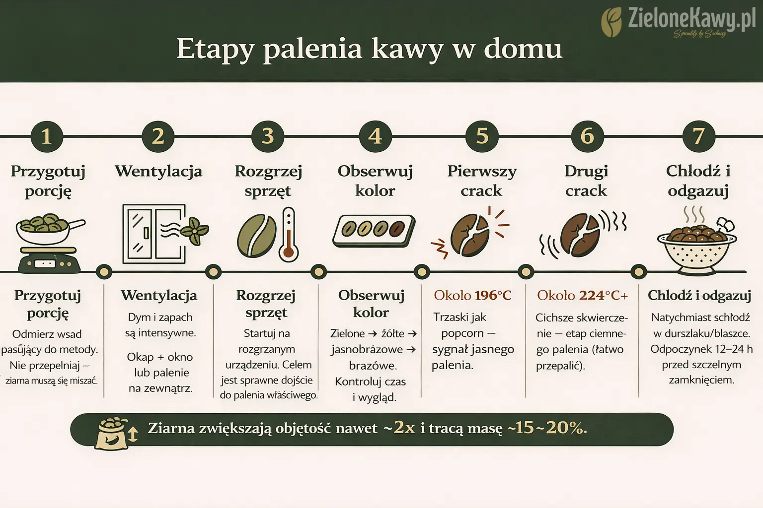 Infografika: etapy palenia kawy w domu – od zielonego ziarna do chłodzenia i odgazowania