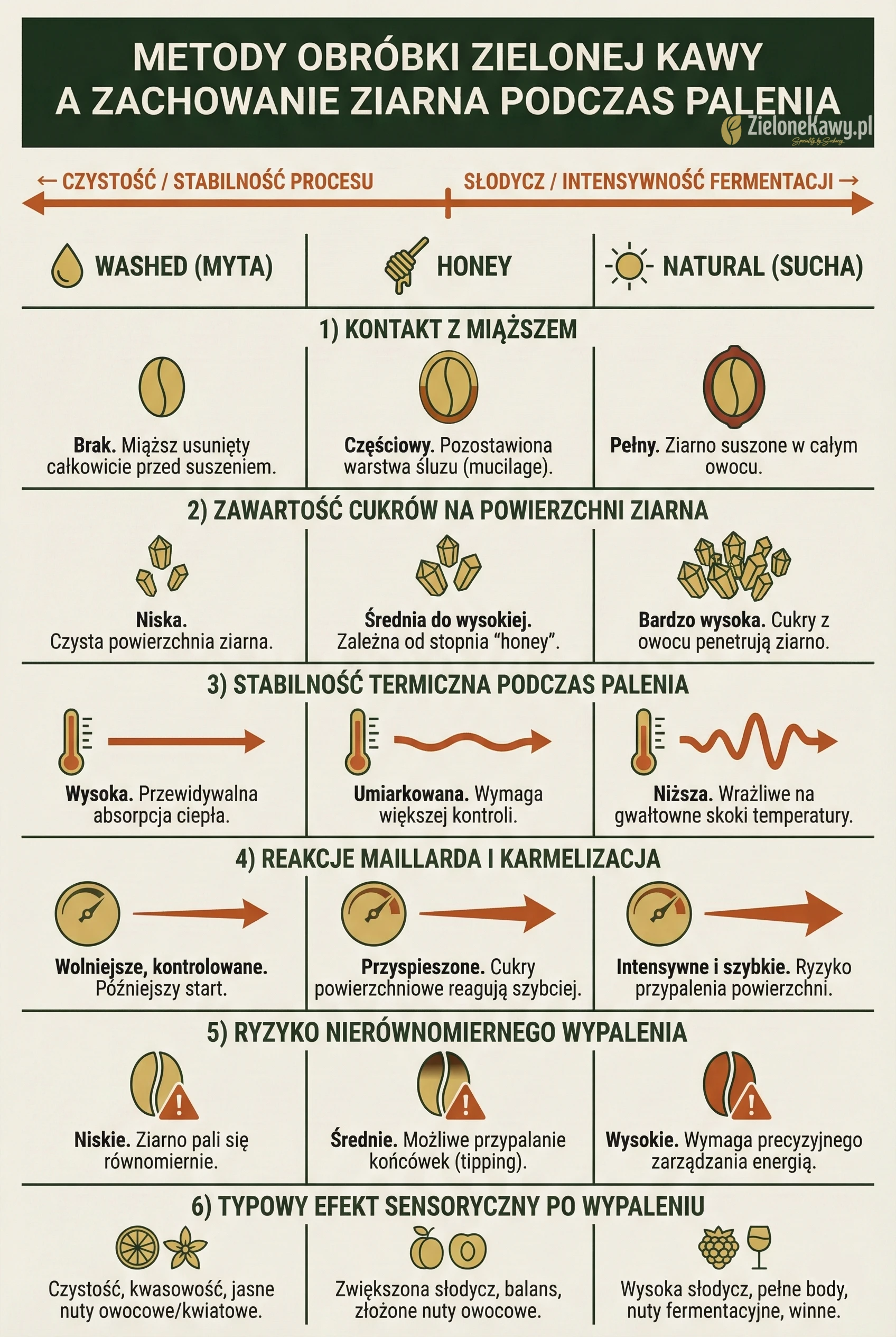 metody obrobki zielonej kawy a wypalanie